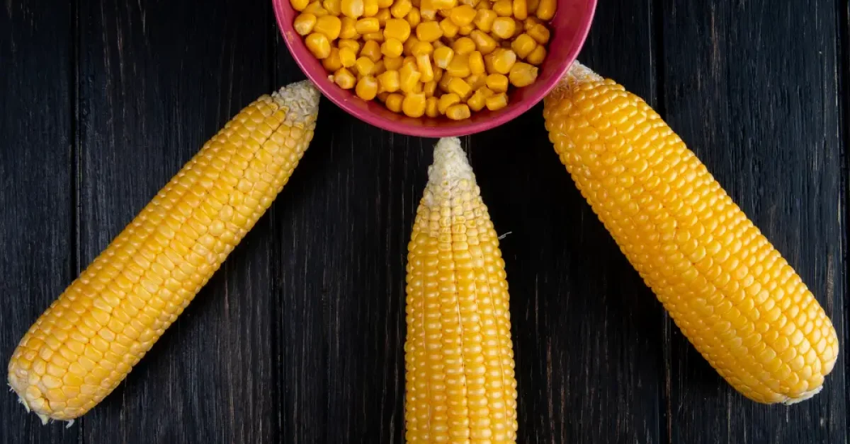 Boiled Corn